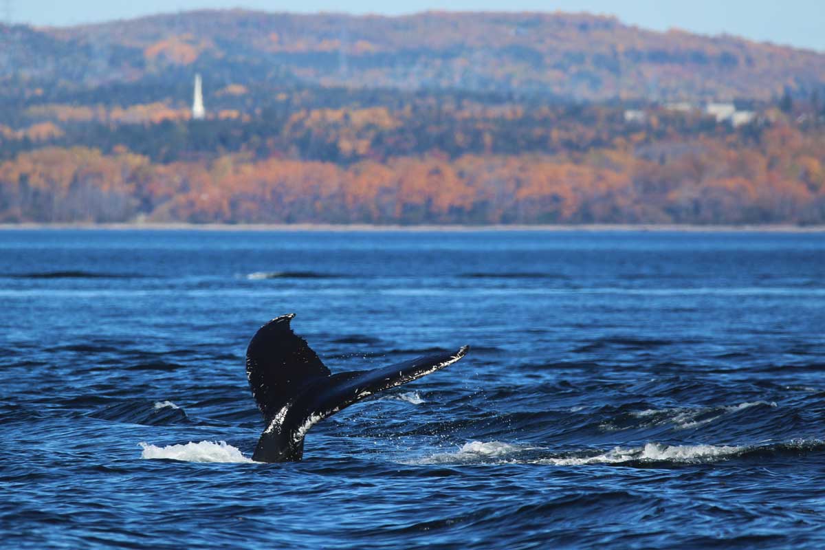 charlevoix-16