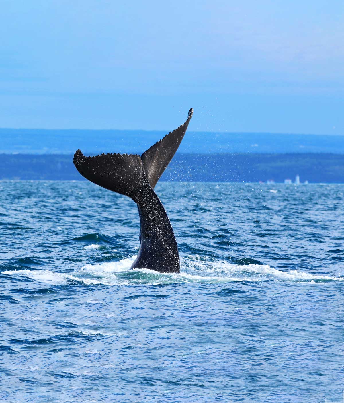 charlevoix-23