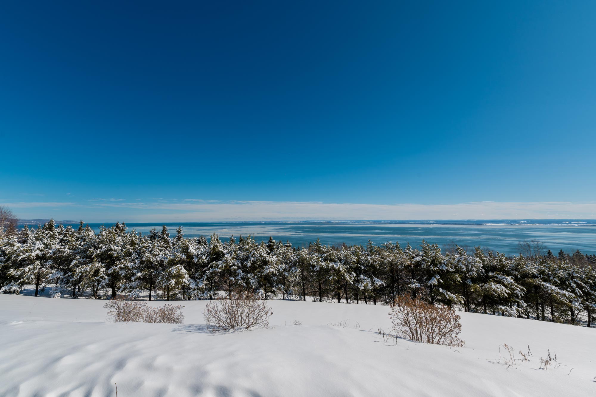 manoir-hortensia-hiver-01